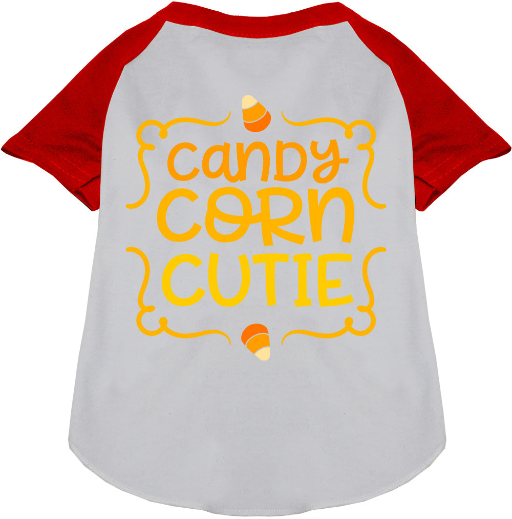Candy Corn Cutie Pet Raglan Shirt