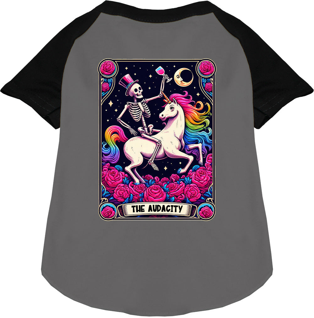 The Audacity! Pet Raglan Shirt