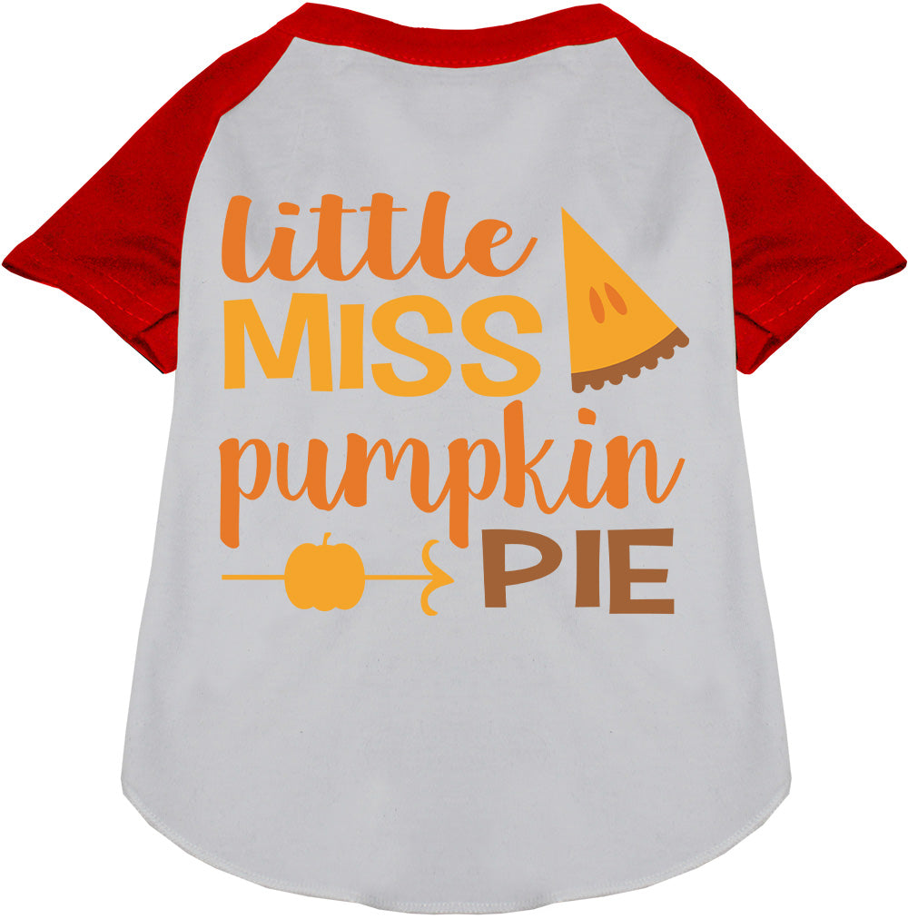 Little Miss Pumpkin Pie Pet Raglan Shirt