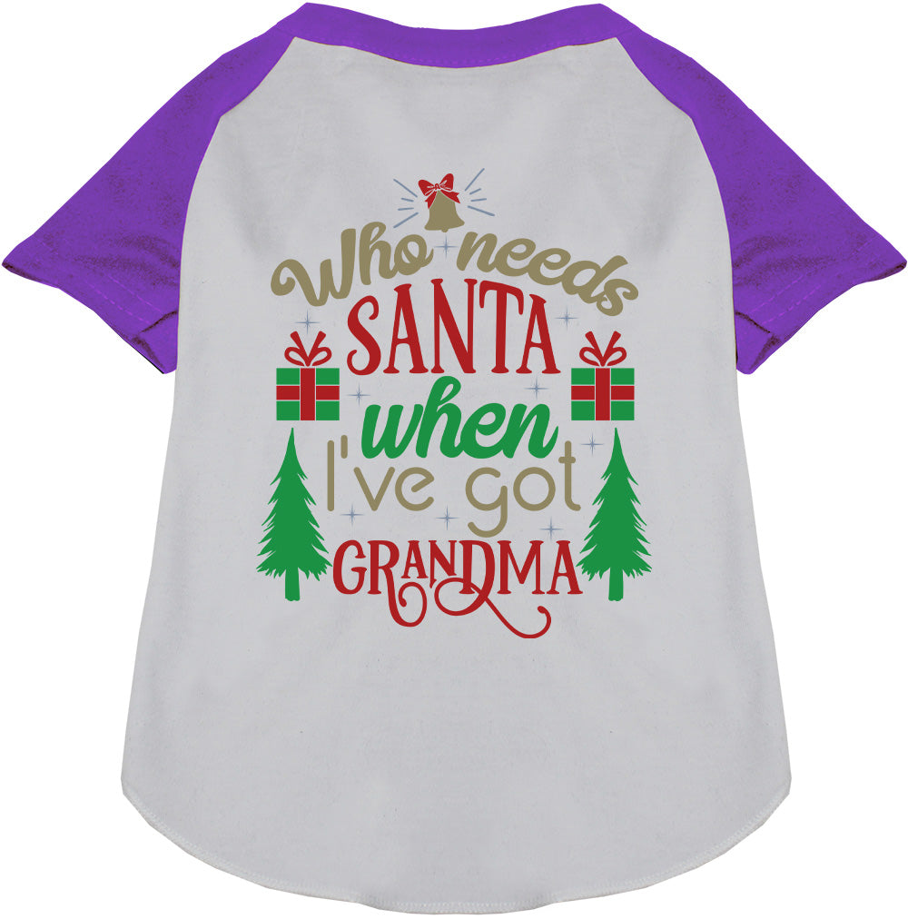 I've Got Grandma! Pet Raglan Shirt