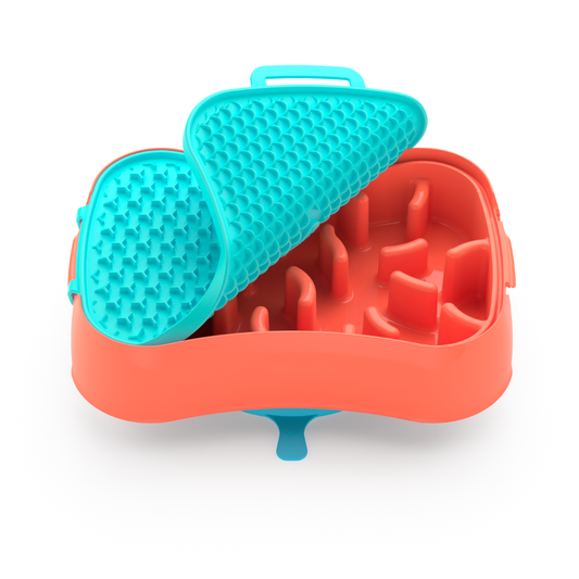 4-In-1 Slow Feeder Dog Bowl