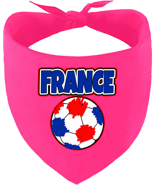 France Soccer Pet Bandana