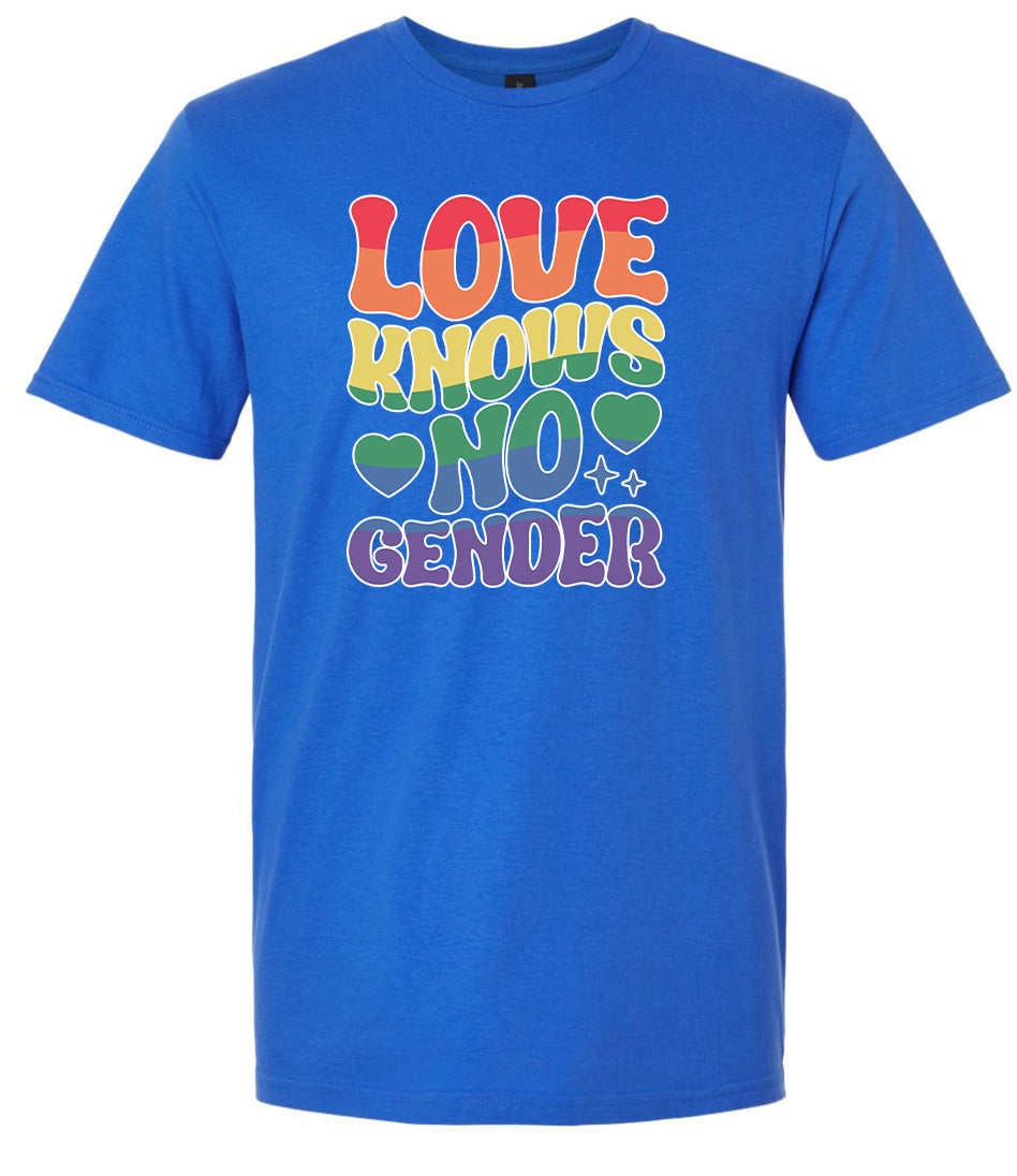Love Knows No Gender Adult Gildan Soft Shirt