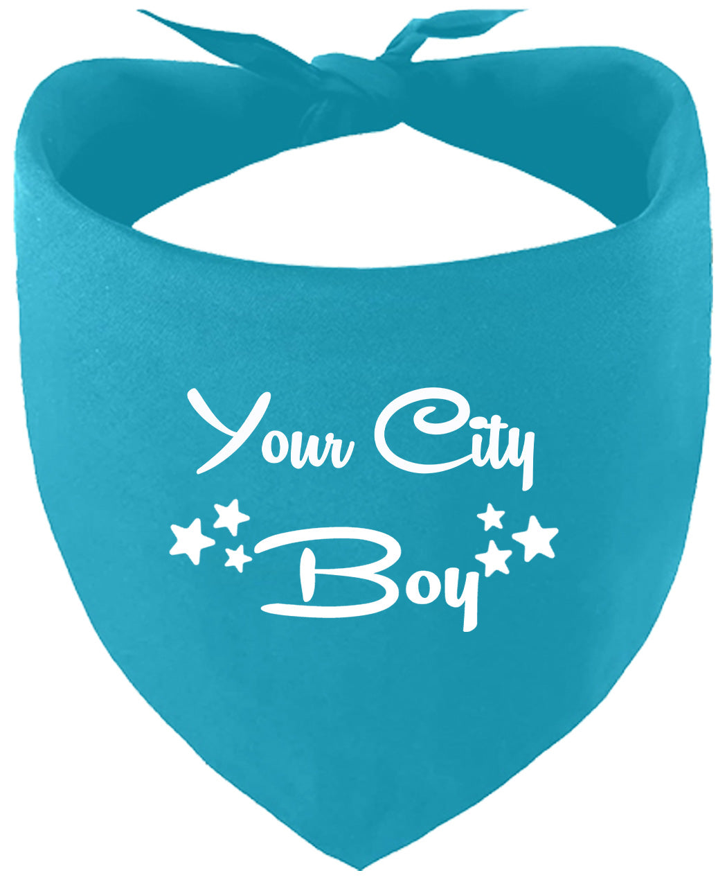 Custom Boy Pet Bandana