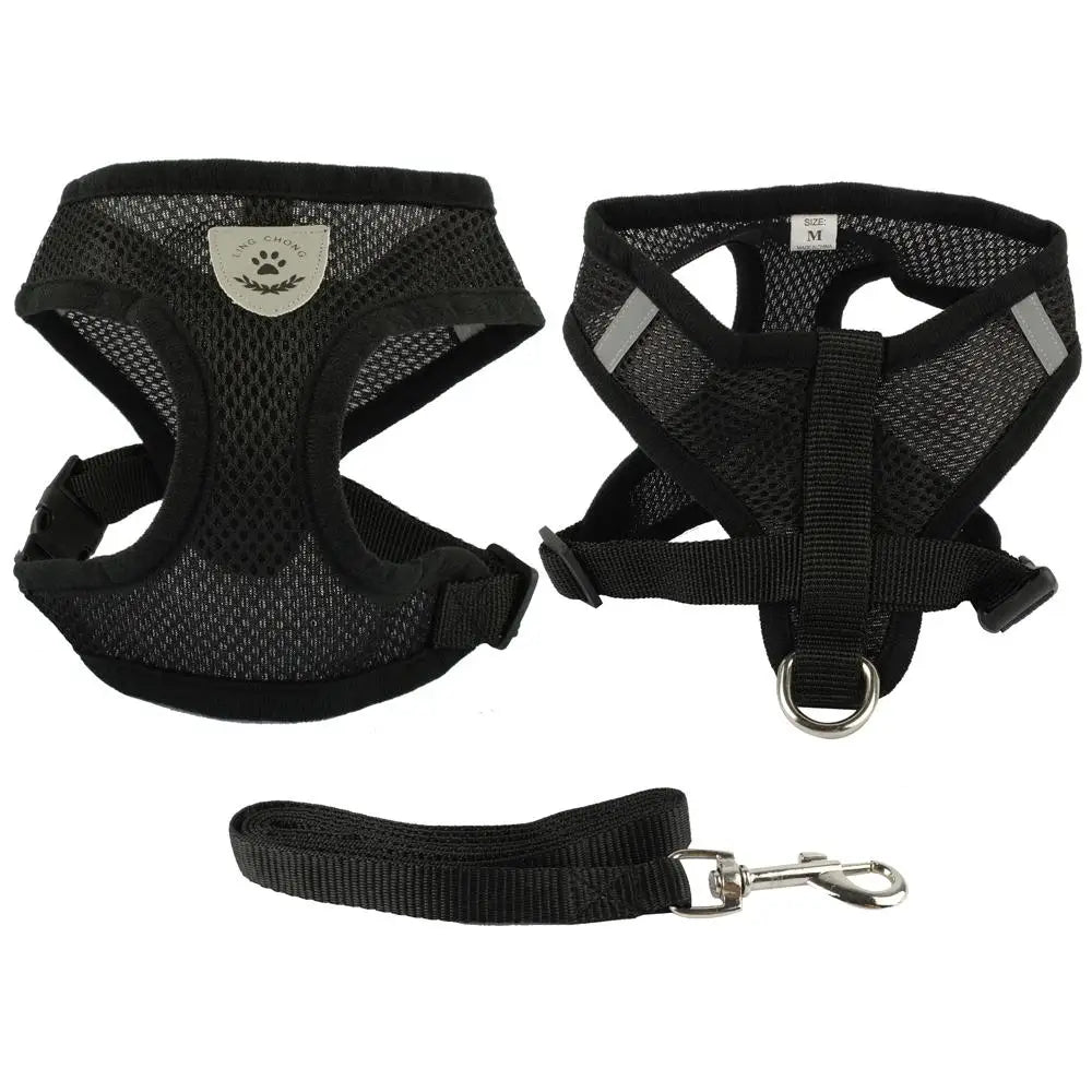 Soft Nylon Mesh Dog Harness and Leash Set