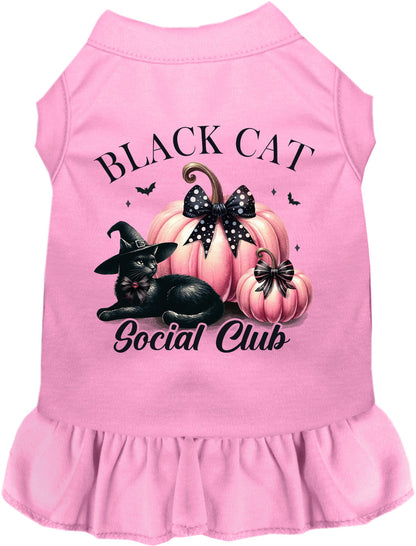 Pink and Black Cat Social Club Pet Dress