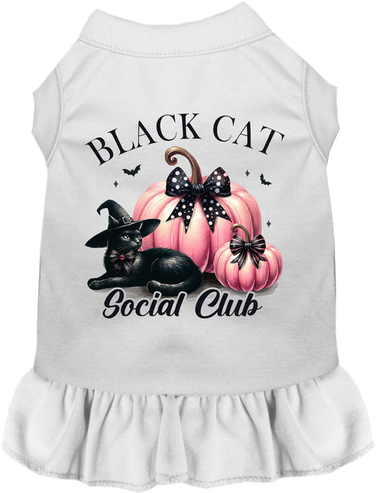 Pink and Black Cat Social Club Pet Dress