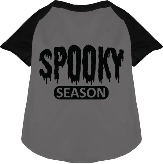 Bloody Spooky Season Pet Raglan Shirt
