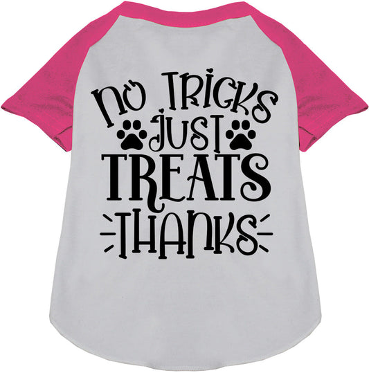 No Tricks, Just Treats Pet Raglan Shirt