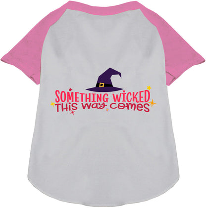 Something Wicked This Way Comes Pet Raglan Shirt