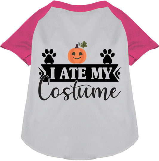 I Ate My Costume Pet Raglan Shirt
