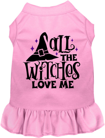 All the Witches Love Me Halloween Pet Dress