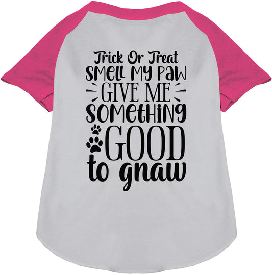 Good to Gnaw Pet Raglan Shirt