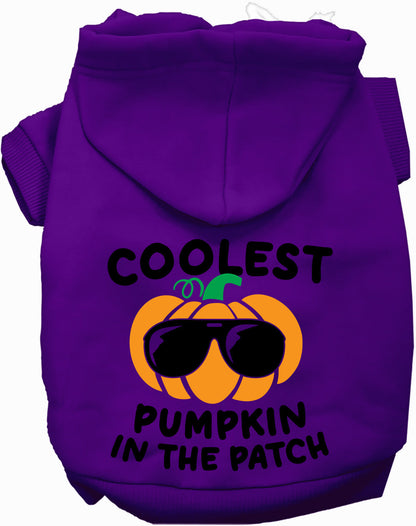 Coolest Pumpkin Halloween Pet Hoodie