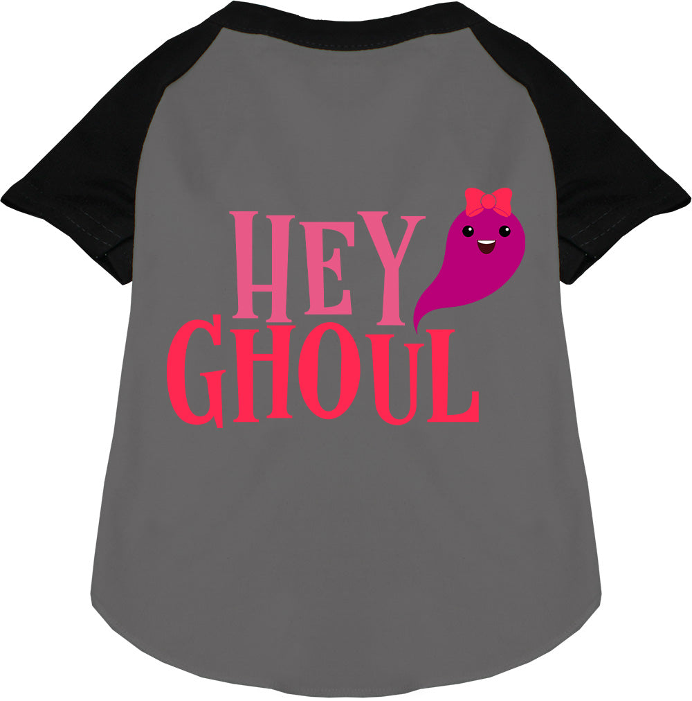 Hey Ghoul Pet Raglan Shirt