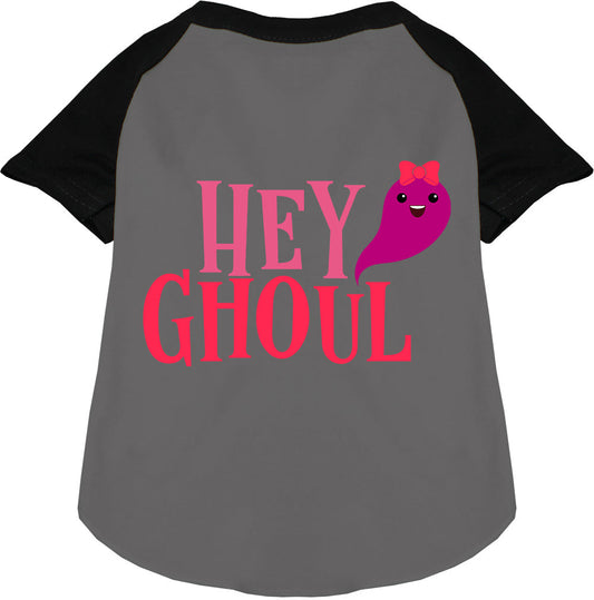 Hey Ghoul Pet Raglan Shirt