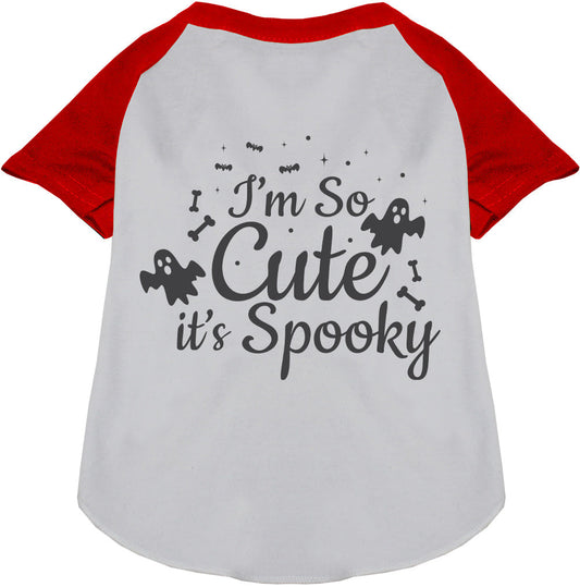 So Cute, It's Spooky Pet Raglan Shirt