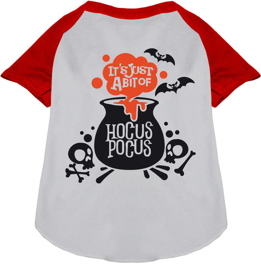 Just a Bunch of Hocus Pocus Pet Raglan Shirt