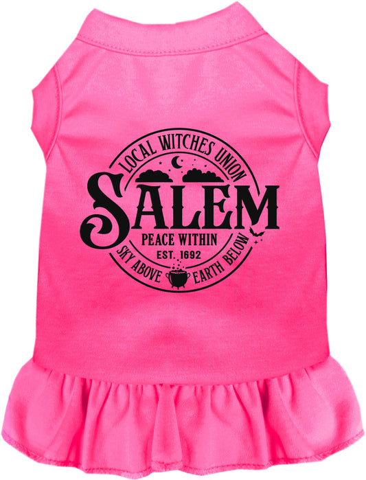 Salem Witches Union Pet Dress