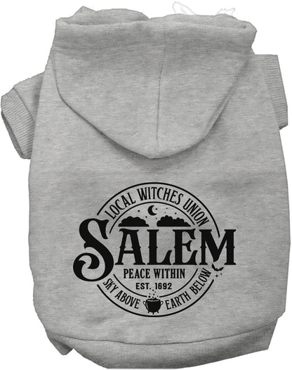 Salem Witches Union Halloween Pet Hoodie