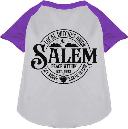 Salem Witches Union Pet Raglan Shirt