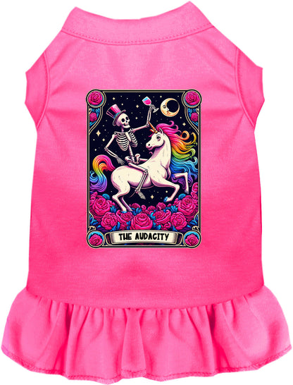 The Audacity! Pet Dress