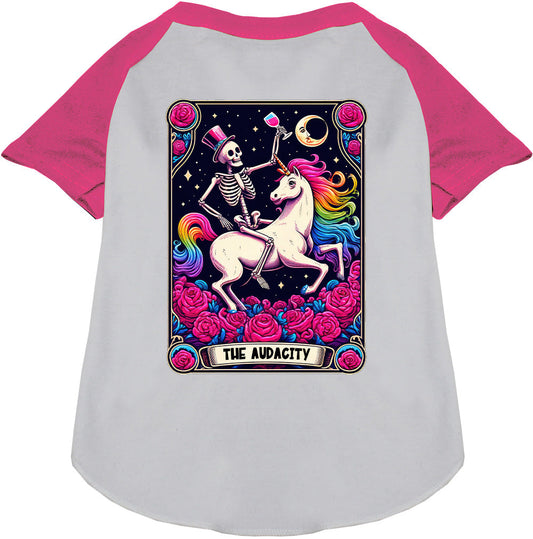The Audacity! Pet Raglan Shirt