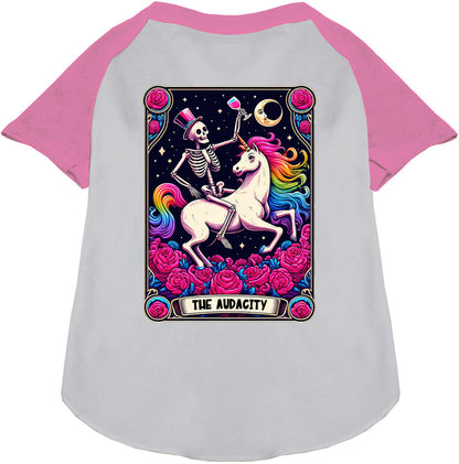 The Audacity! Pet Raglan Shirt