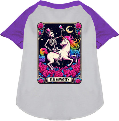 The Audacity! Pet Raglan Shirt