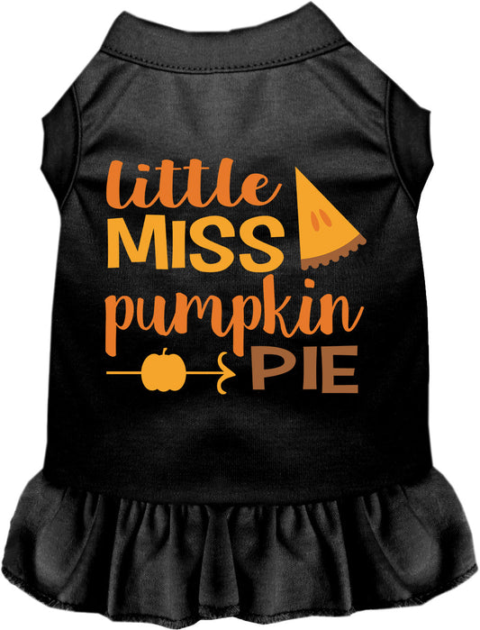 Little Miss Pumpkin Pie Pet Dress
