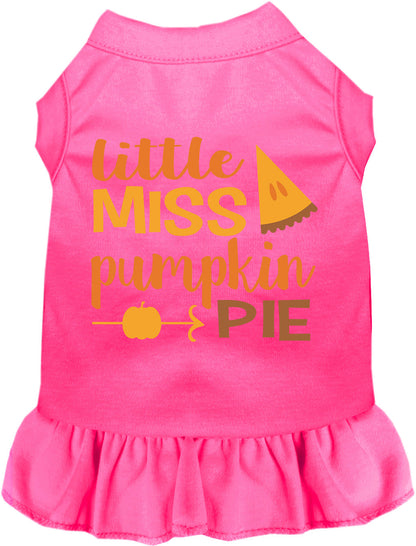 Little Miss Pumpkin Pie Pet Dress