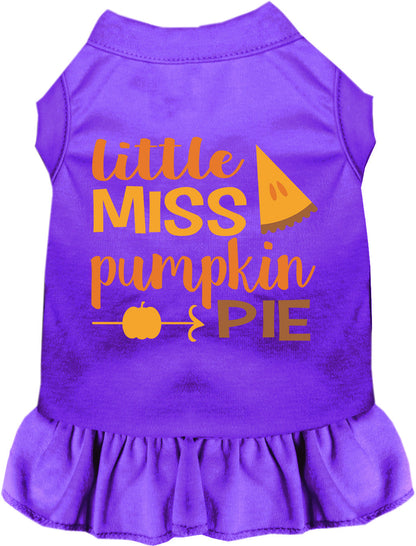 Little Miss Pumpkin Pie Pet Dress