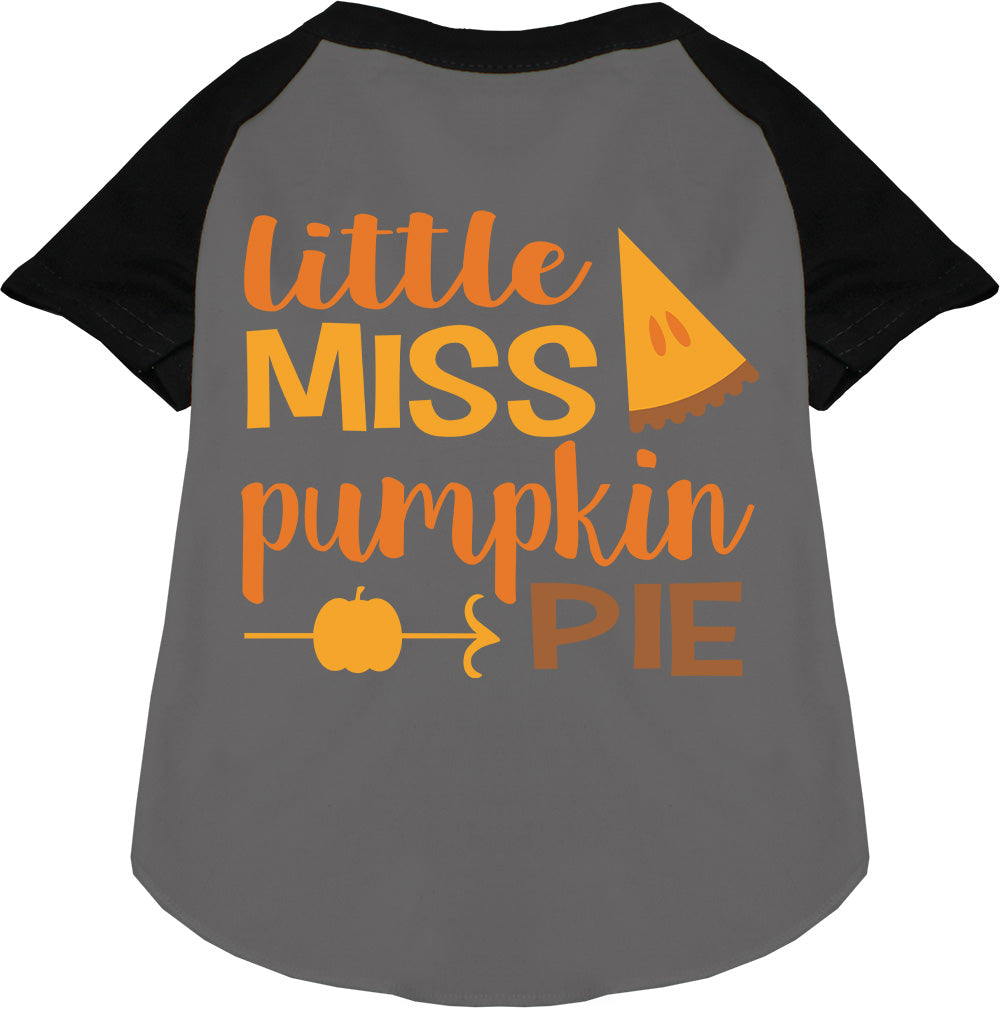 Little Miss Pumpkin Pie Pet Raglan Shirt