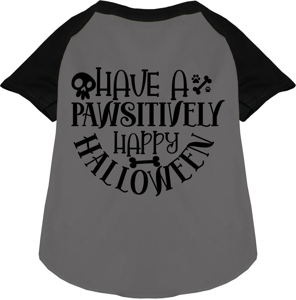 Pawsitively Happy Halloween Pet Raglan Shirt