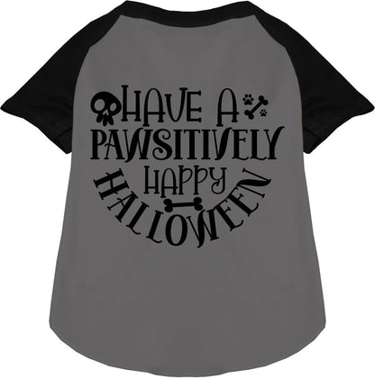 Pawsitively Happy Halloween Pet Raglan Shirt