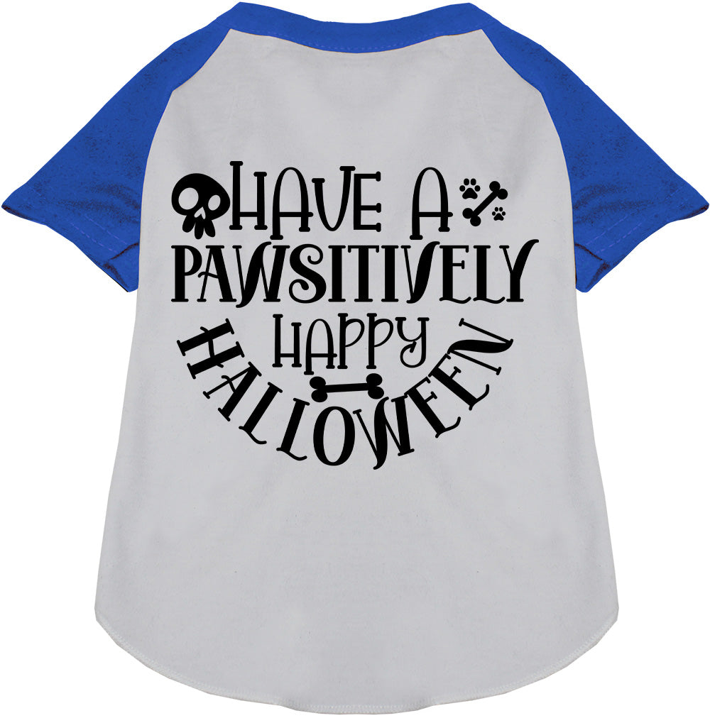 Pawsitively Happy Halloween Pet Raglan Shirt