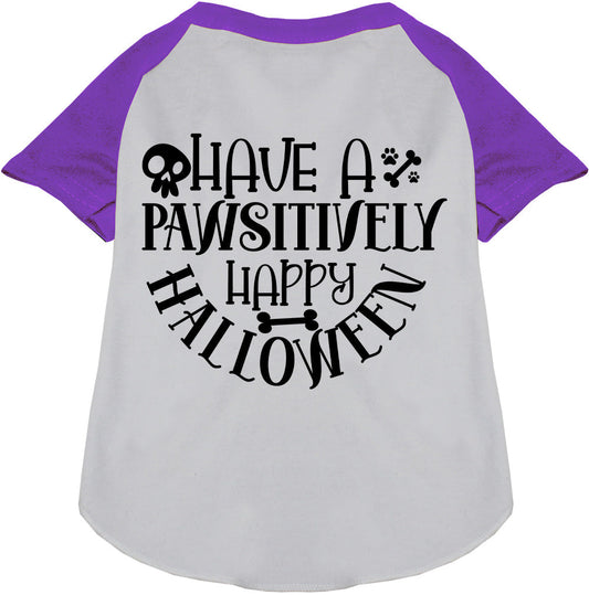 Pawsitively Happy Halloween Pet Raglan Shirt