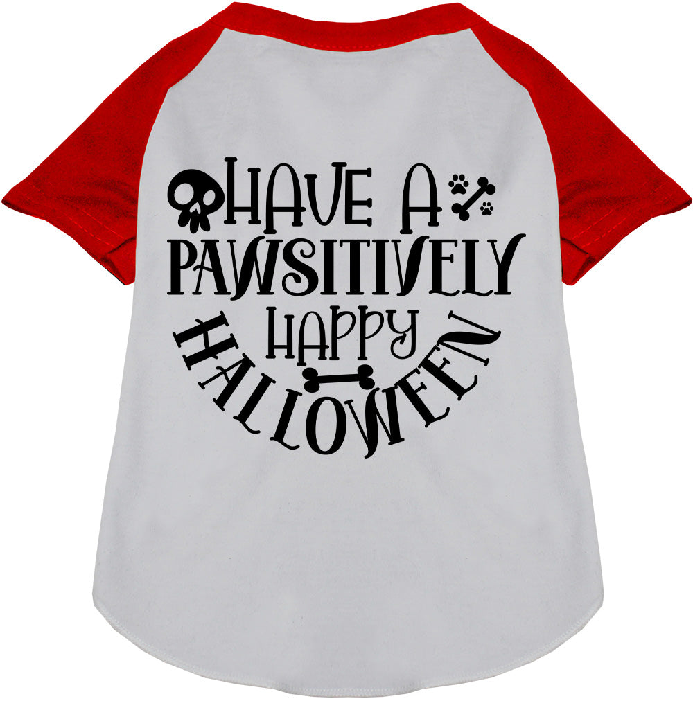 Pawsitively Happy Halloween Pet Raglan Shirt