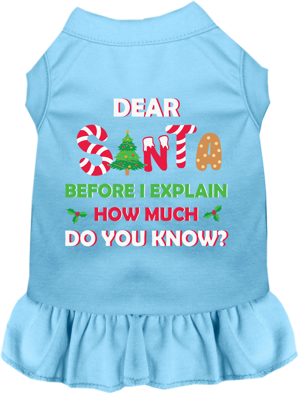 Santa, How Much? Pet Dress