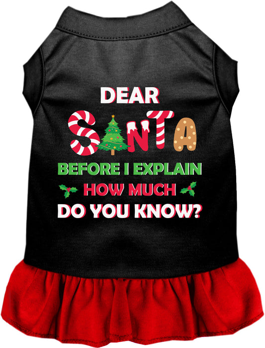 Santa, How Much? Pet Dress
