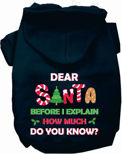 Santa, How Much Do You Know? Christmas Pet Hoodie
