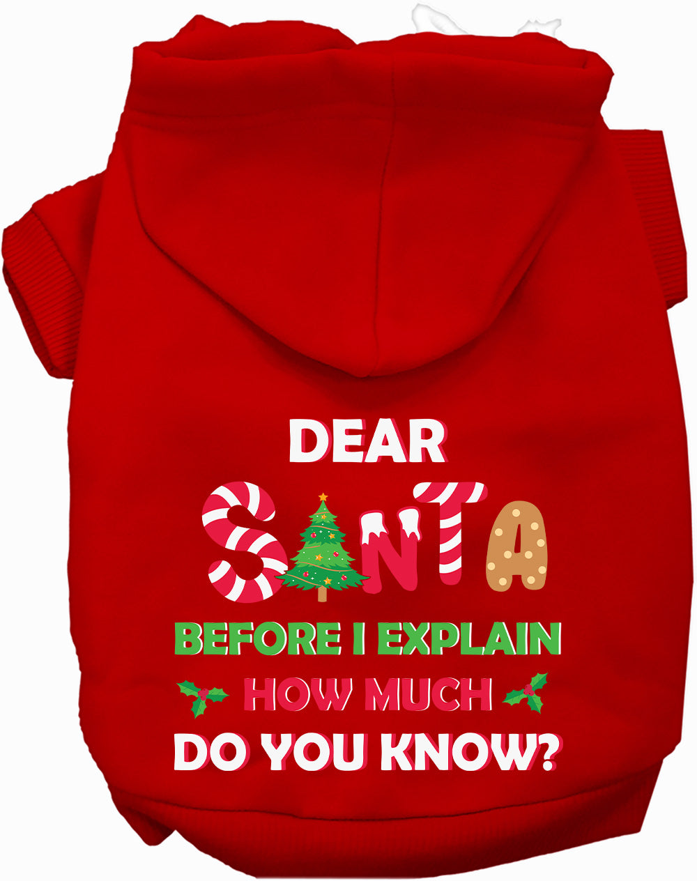 Santa, How Much Do You Know? Christmas Pet Hoodie