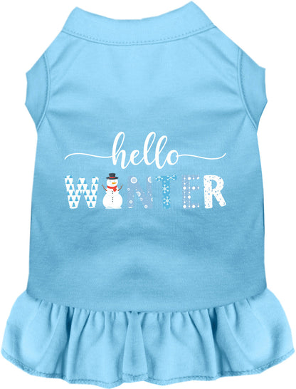 Hello Winter Pet Dress