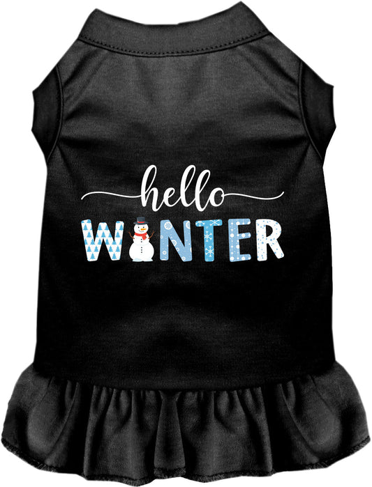 Hello Winter Pet Dress