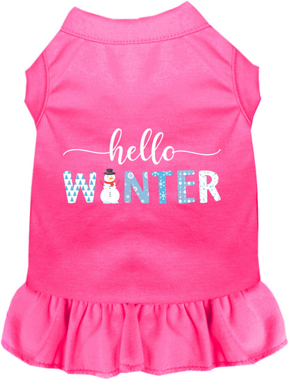 Hello Winter Pet Dress