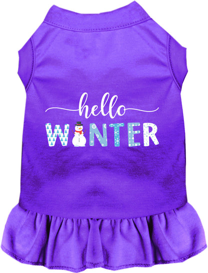 Hello Winter Pet Dress