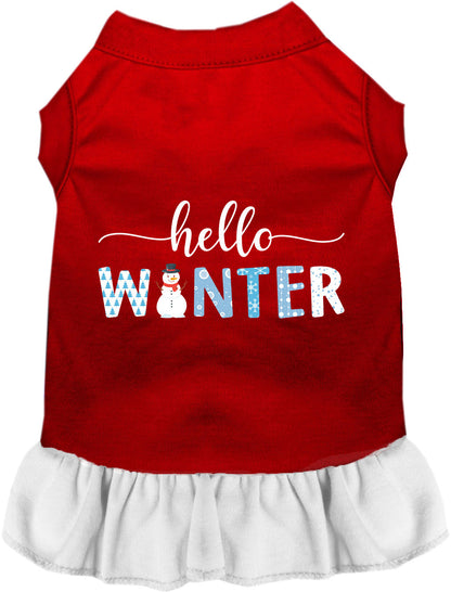 Hello Winter Pet Dress