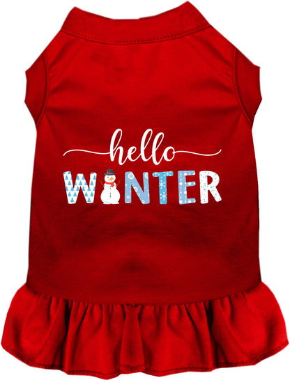 Hello Winter Pet Dress