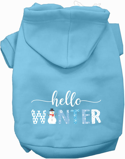 Hello Winter Pet Hoodie