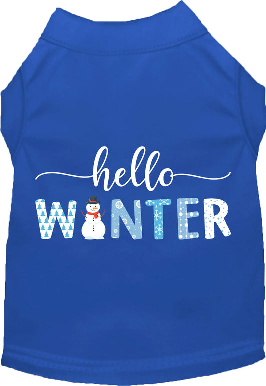 Hello Winter Pet Shirt